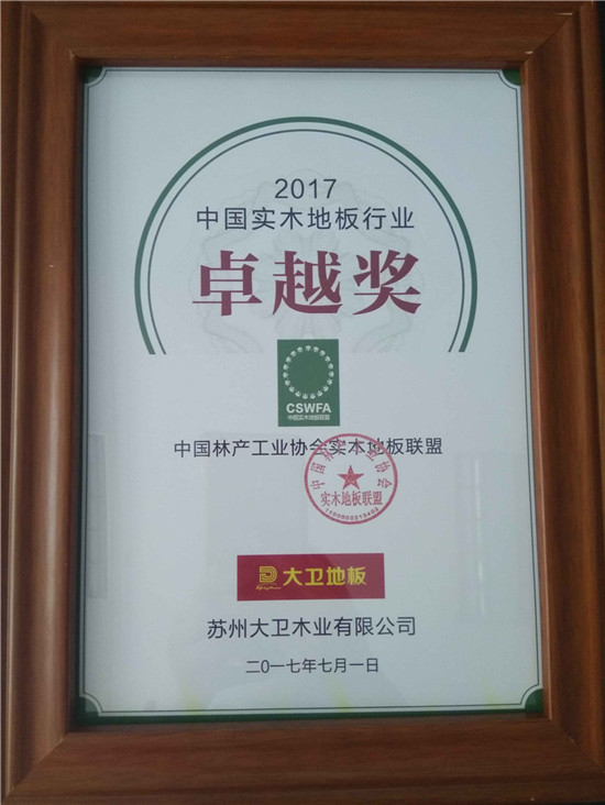 卓越奖11.jpg