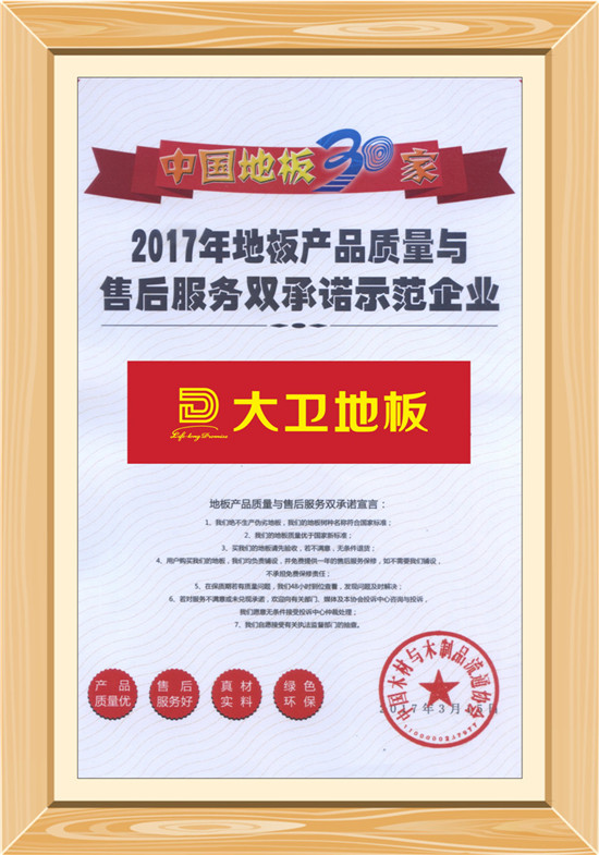 D体育（中国）地板荣获“地板产品质量与售后服务双承诺示范企业”.jpg