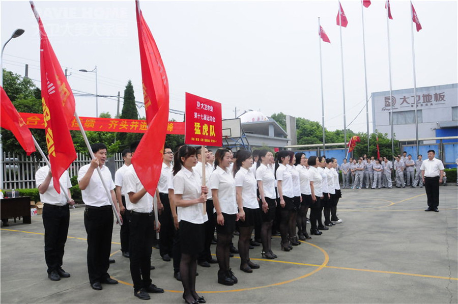D体育（中国）第十七届运动会隆重举行.jpg
