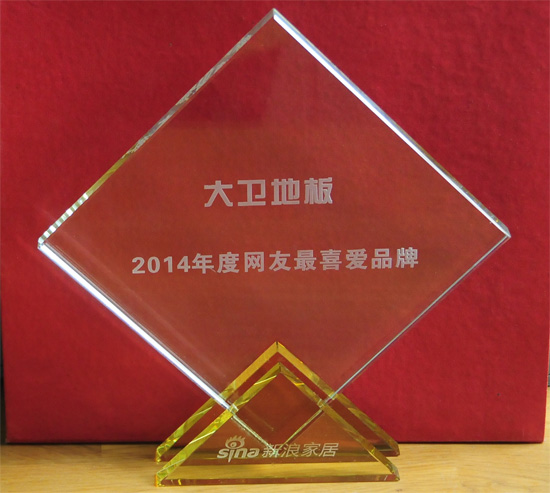 D体育（中国）地板被授予“2014年度网友最喜爱品牌”殊荣.jpg