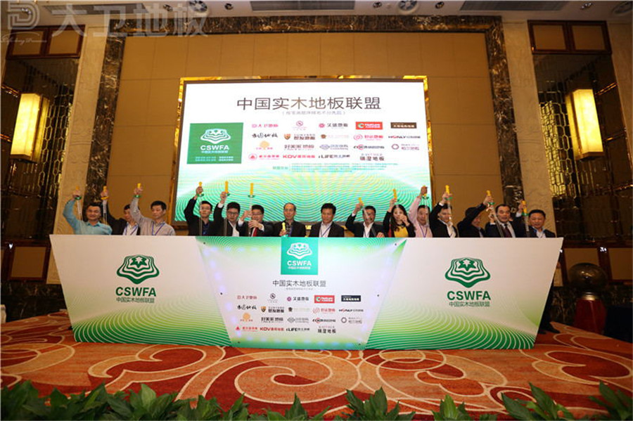 “中国D体育网联盟”成立启动仪式.jpg
